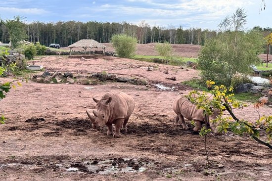 Nashörner im Safaripark Monde Sauvage